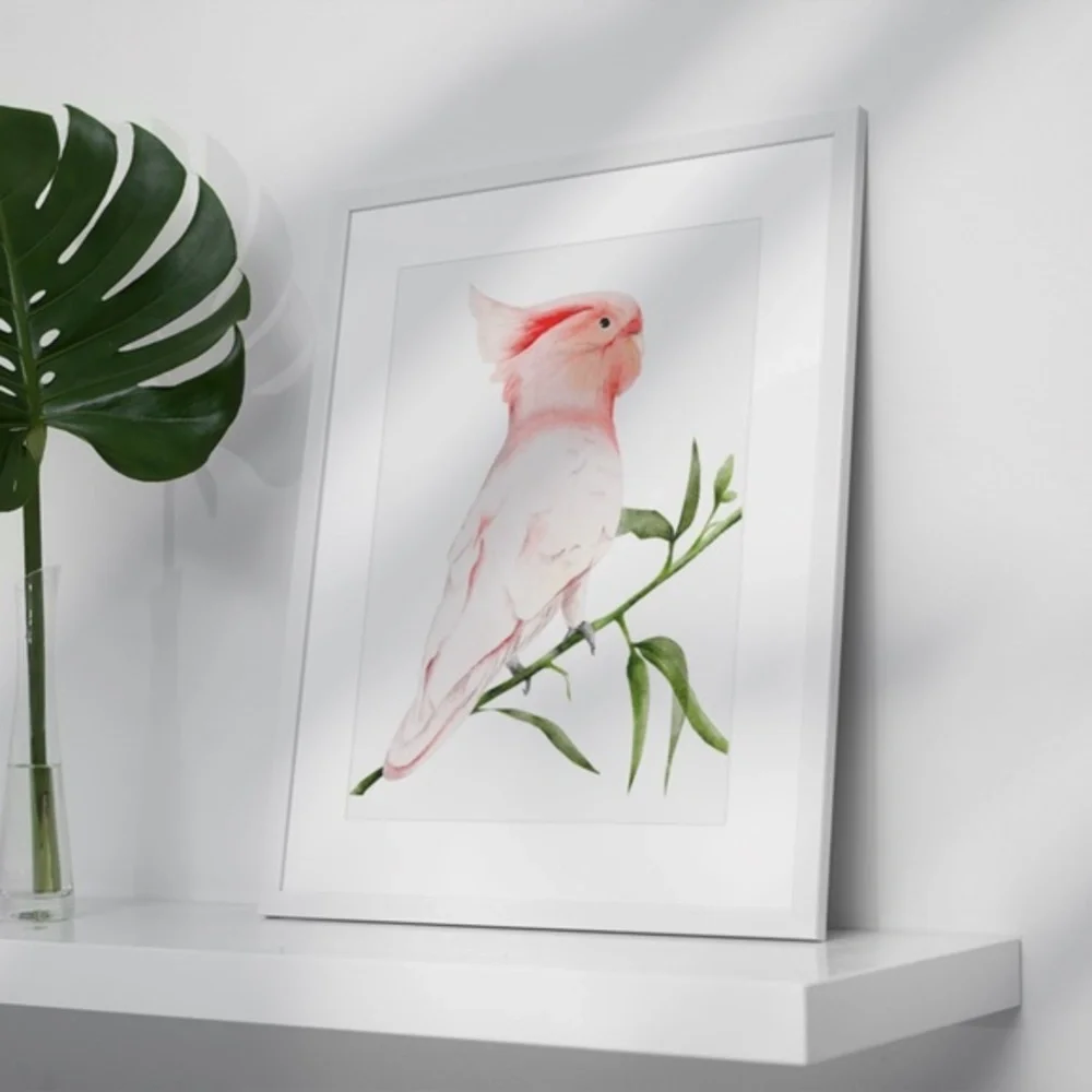 Wall Art Major Michell's Cockatoo Print Unframed - Picture 5 of 6